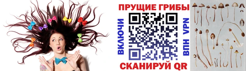 Галлюциногенные грибы Magic Shrooms  Купить  Мичуринск 