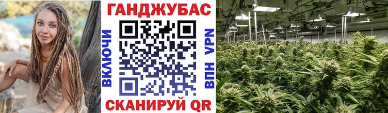 Каннабис сатива Мичуринск
